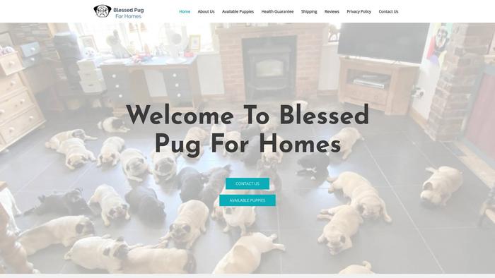 Blessedpugforhomes.com - Pug Puppy Scam Review