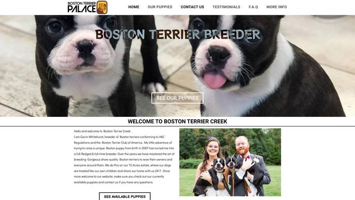 Bostonterriercreek.com - Boston Terrier Puppy Scam Review