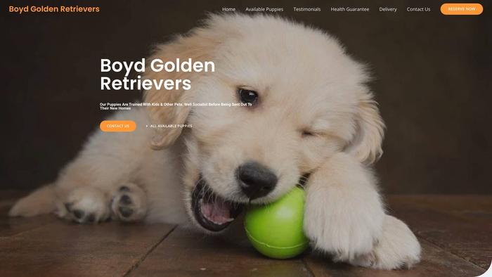 Boydgoldenretrievers.com - Golden Retriever Puppy Scam Review