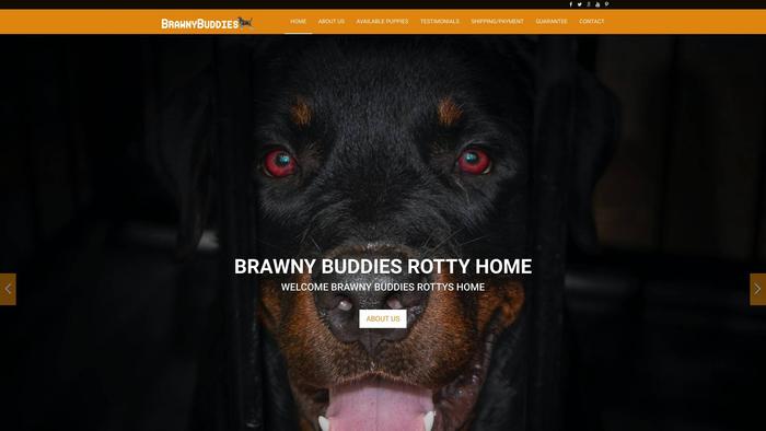 Brawnybuddies.com - Rottweiler Puppy Scam Review