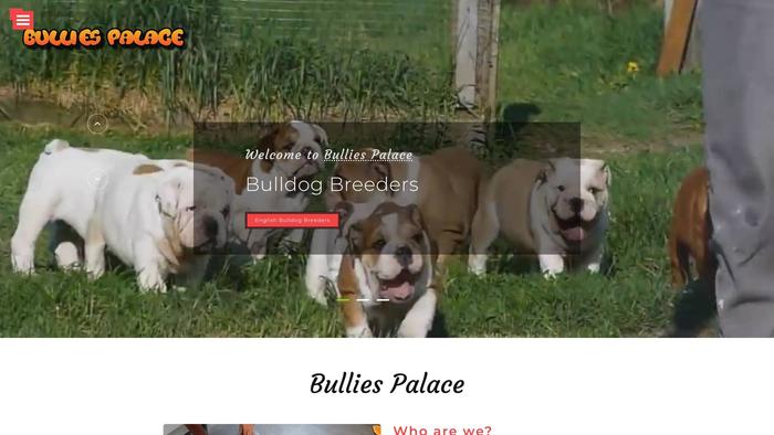 Bulliespalace.com - English Bulldog Puppy Scam Review