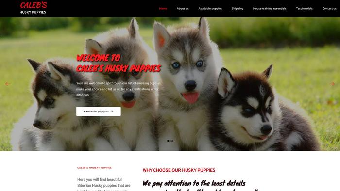 Calebhuskypuppies.com - Husky Puppy Scam Review