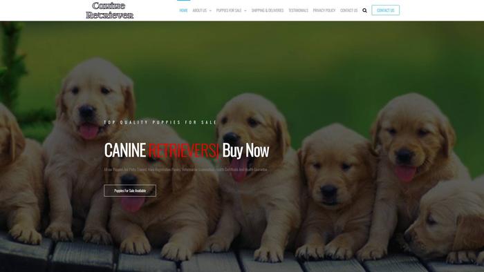 Canineretrievers.com - Golden Retriever Puppy Scam Review