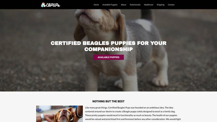 Certifiedbeaglespups.com - Beagle Puppy Scam Review