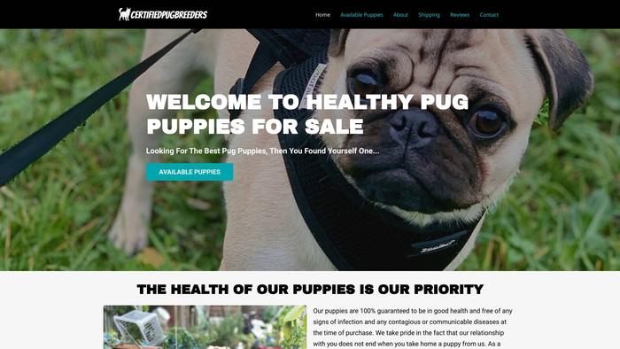 Certifiedpugbreeders.com - Pug Puppy Scam Review