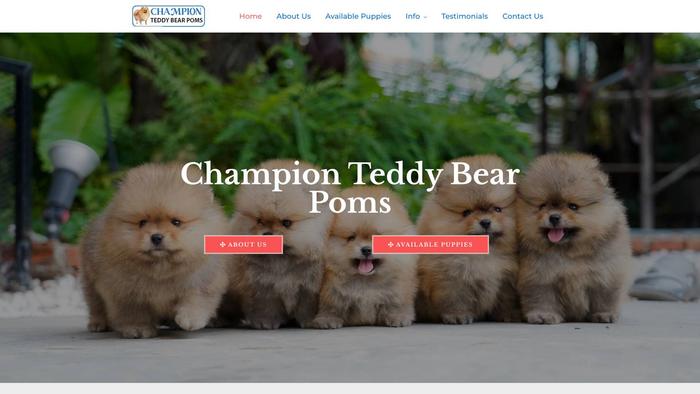 Championminibearfacepoms.com - Pomeranian Puppy Scam Review