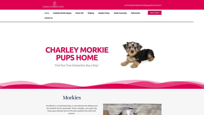 Charleymorkiepupshome.com - Yorkshire Terrier Puppy Scam Review