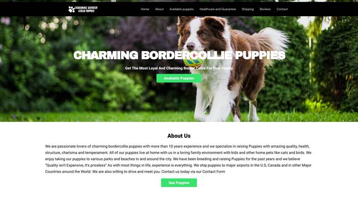 Charmingbordercolliepuppies.com - Bordercollie Puppy Scam Review