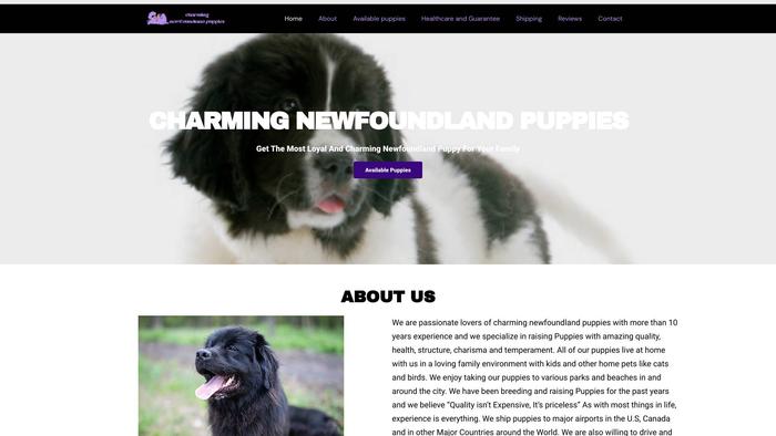 Charmingnewfoundlandpuppies.com - Saint Bernard Puppy Scam Review