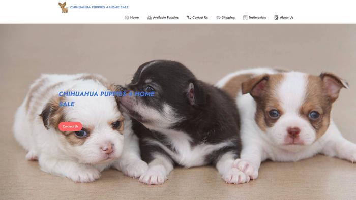 Chihuahuapuppies4homesale.com - Chihuahua Puppy Scam Review