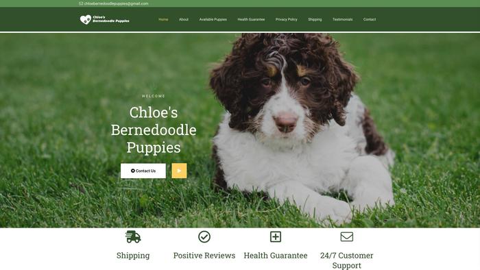 Chloebernedoodlepuppies.com - Bernedoodle Puppy Scam Review