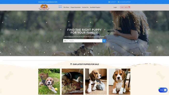 Cleanbeaglepups.com - Beagle Puppy Scam Review