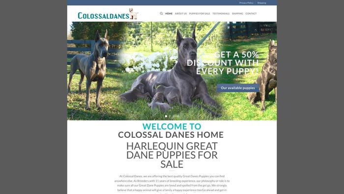 Colossaldanes.com - Great Dane Puppy Scam Review