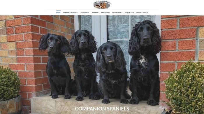 Companionspaniels.com - Spaniel Puppy Scam Review