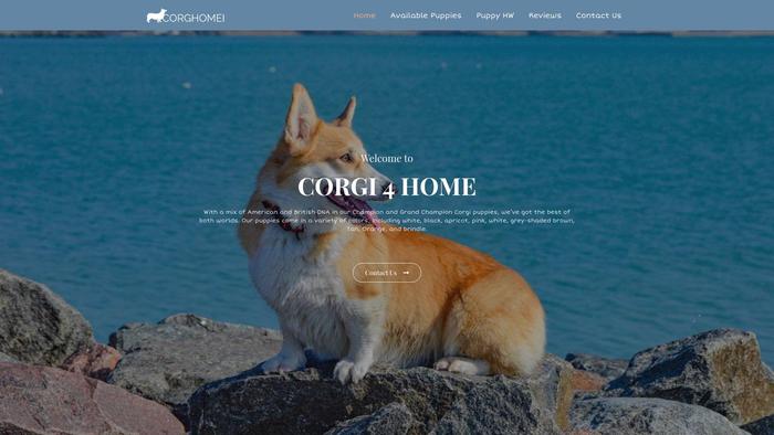 Corgi4homes.com - Corgi Puppy Scam Review