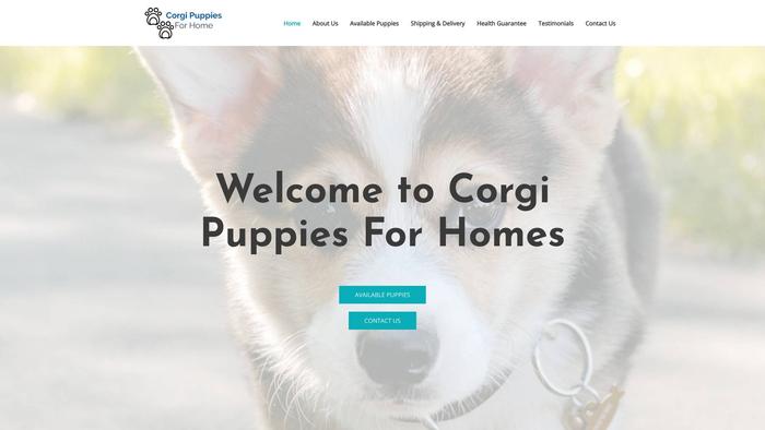 Corgipupsforhome.com - Corgi Puppy Scam Review