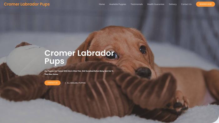 Cromerlabradorpups.com - Labrador Puppy Scam Review