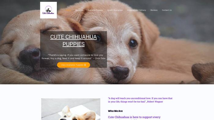 Cutechihuahuas.com - Chihuahua Puppy Scam Review