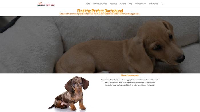 Dachshundpuppyhome.com - Dachshund Puppy Scam Review