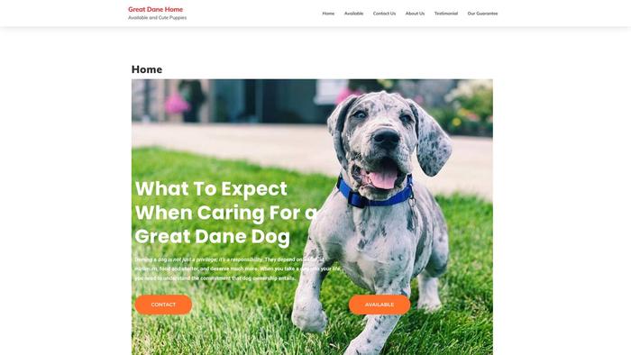 Danepupshome.com - Great Dane Puppy Scam Review