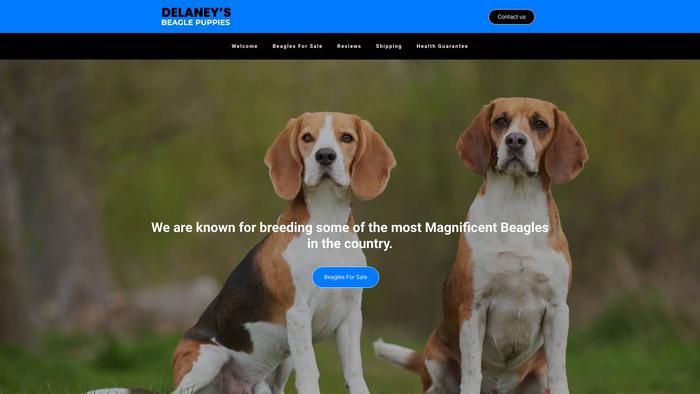 Delaneysbeaglepuppies.com - Beagle Puppy Scam Review