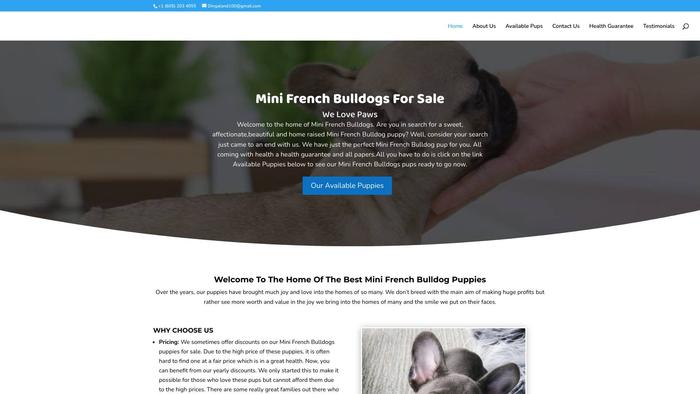 Dingalandbullies.com - French Bulldog Puppy Scam Review