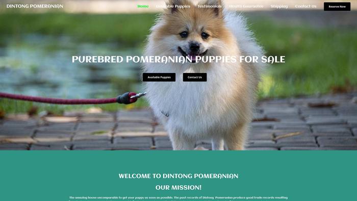 Dintongpomeranian.com - Pomeranian Puppy Scam Review