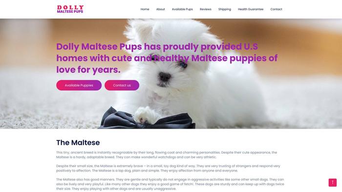 Dollymaltesepups.com - Maltese Puppy Scam Review