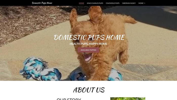 Domesticpupshomes.com - Cavalier King Charles Spaniel Puppy Scam Review