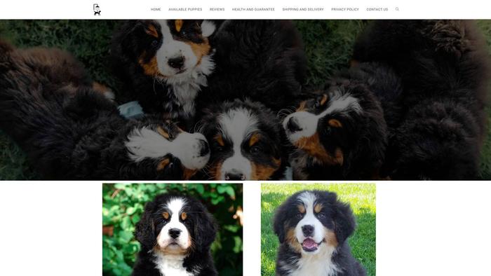 Donaldbernesepuppieshome.com - Bernese Mountain Dog Puppy Scam Review