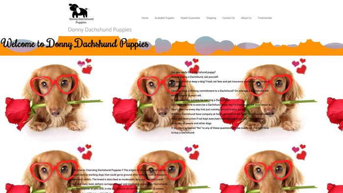 Donnydachshundpuppies.com - Dachshund Puppy Scam Review