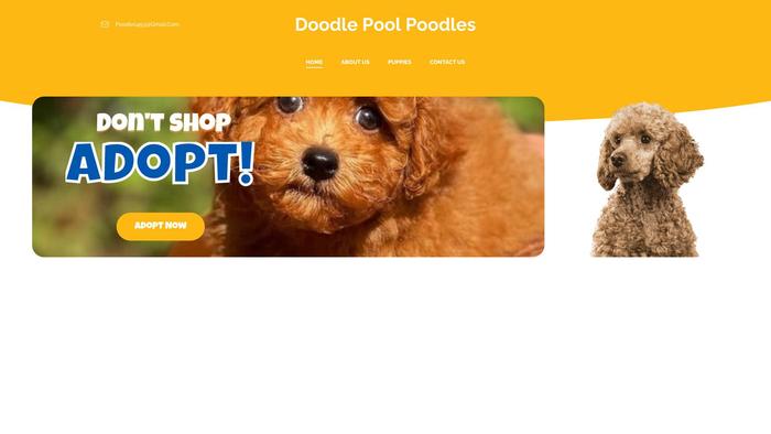 Doodlepool.net - Labradoodle Puppy Scam Review