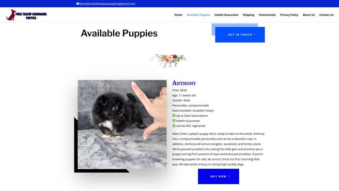 Familybredchihuahuapups.com - Chihuahua Puppy Scam Review