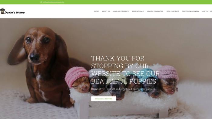 Familydoxiehome.com - Dachshund Puppy Scam Review