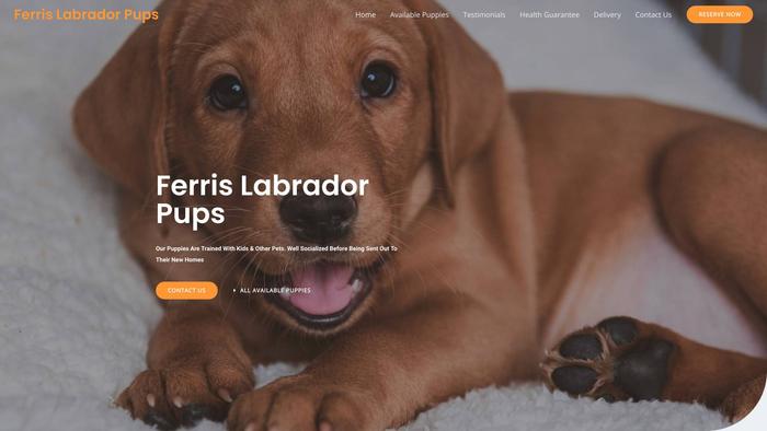 Ferrislabradorpups.com - Labrador Puppy Scam Review