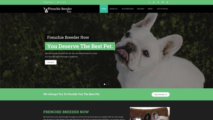 Frenchiebreedernow.com - French Bulldog Puppy Scam Review