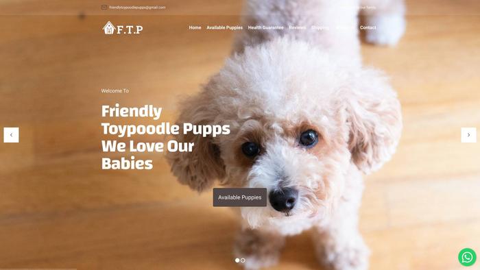 Friendlytoypoodlepups.com - Poodle Puppy Scam Review