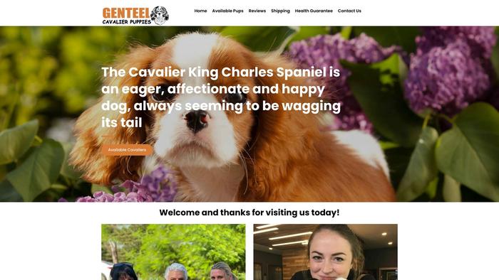 Genteelcavalierkingcharlespuppies.com - Cavalier King Charles Spaniel Puppy Scam Review