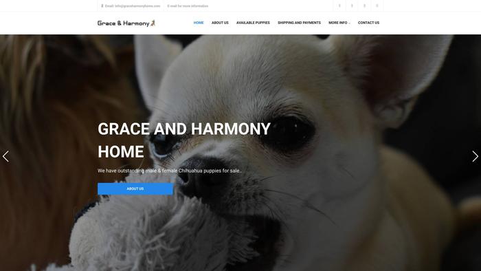 Graceharmonyhome.com - Chihuahua Puppy Scam Review