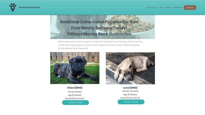 Grandecanecorso.com - Cane Corso Puppy Scam Review