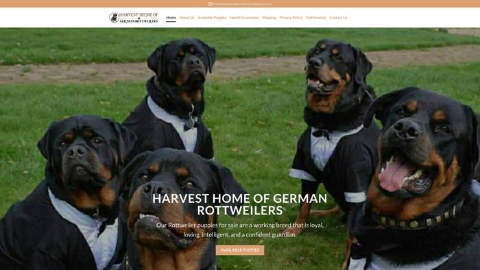 Harvesthomeofgermanrotty.com - Germanshepherd Puppy Scam Review