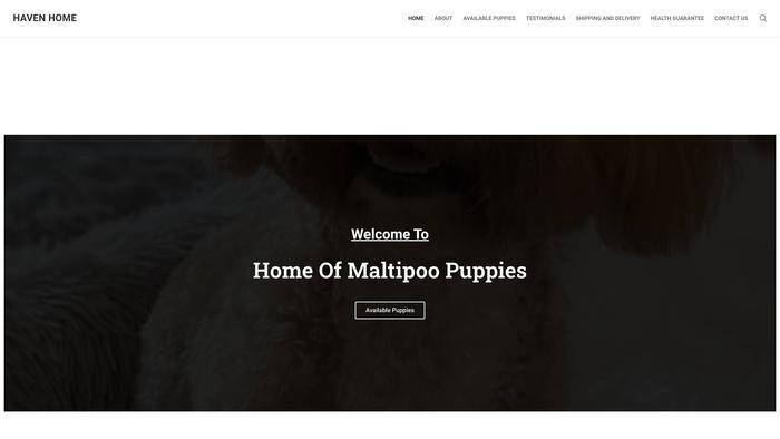 Havenhomemaltipoopuppies.com - Maltipoo Puppy Scam Review