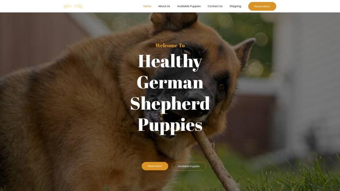 Healthygermanshepherdpups.com - Germanshepherd Puppy Scam Review