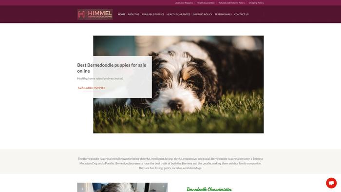 Himmelbernedoodlehome.com - Bernedoodle Puppy Scam Review