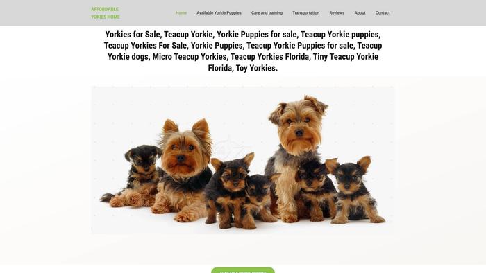 Homeofaffordableyorkiepuppies.com - Yorkshire Terrier Puppy Scam Review