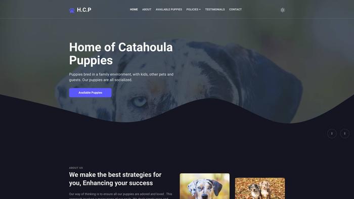 Homeofcatahoulapuppies.com - Labrador Puppy Scam Review