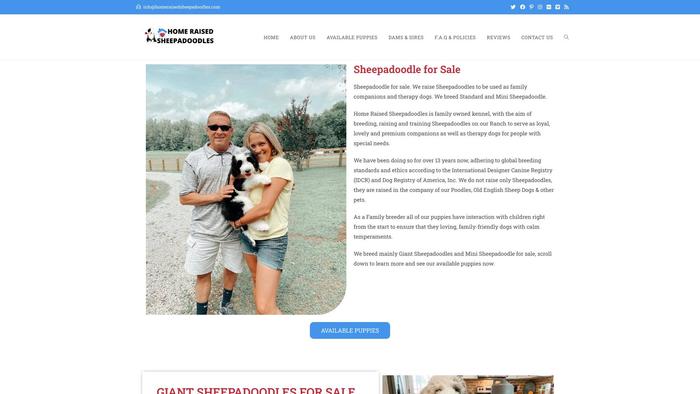 Homeraisedsheepadoodles.com - Labradoodle Puppy Scam Review