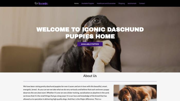 Iconicdaschundpuppies.com - Dachshund Puppy Scam Review