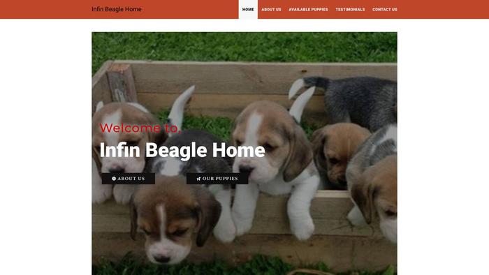 Infinbeaglehome.com - Beagle Puppy Scam Review