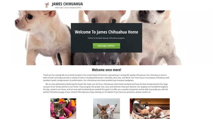 Jameschihuahuahome.com - Chihuahua Puppy Scam Review